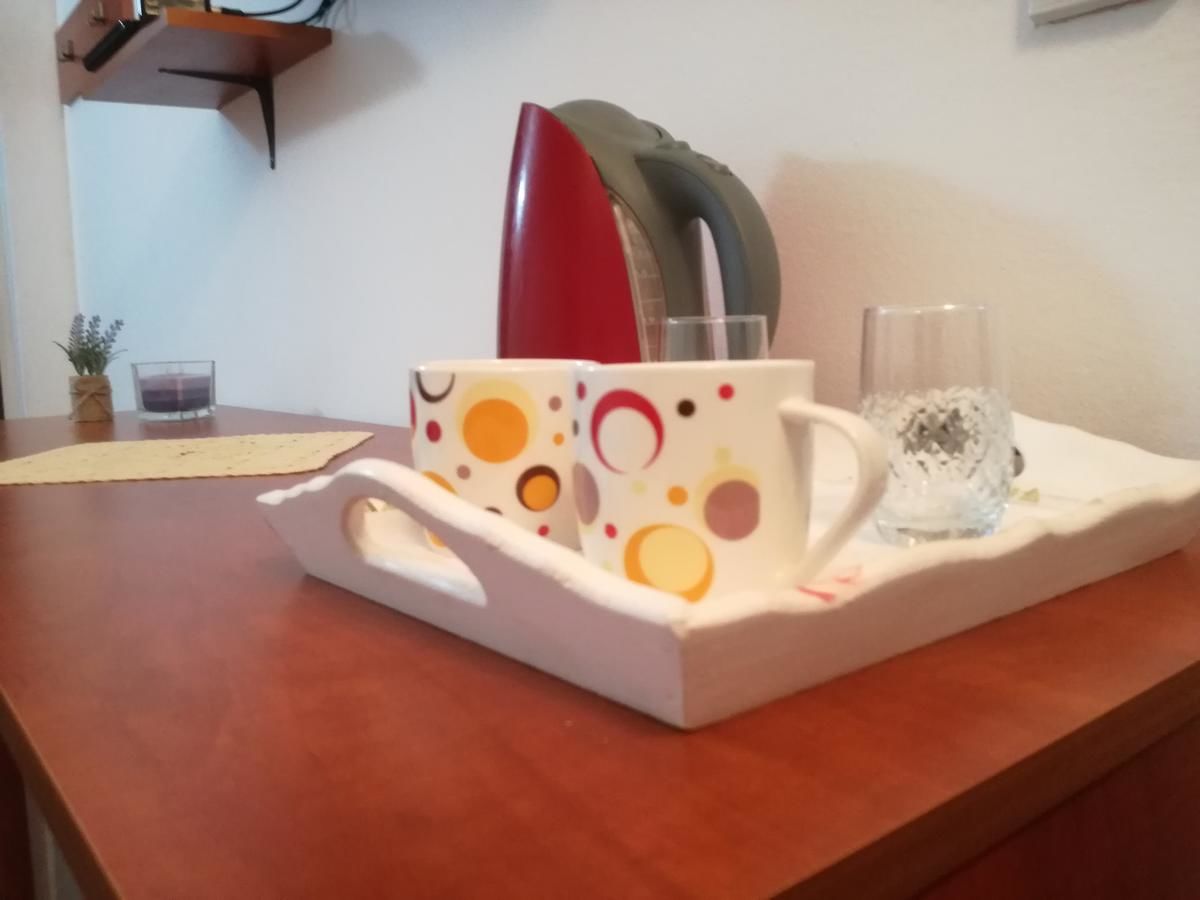 Апартаменты Apartmani Miron Рафаиловичи-28